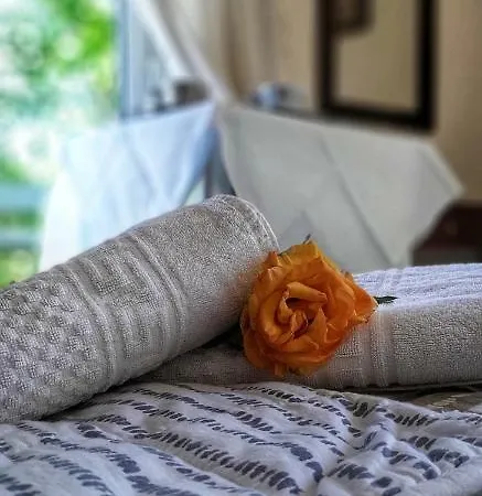 Ermis 卢特拉伊帕蒂斯